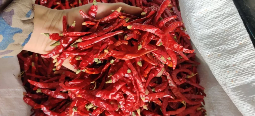 S17 Dried Chillies
