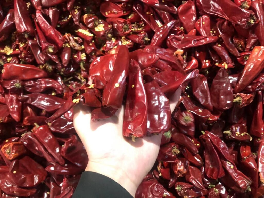Yidu dried red chili