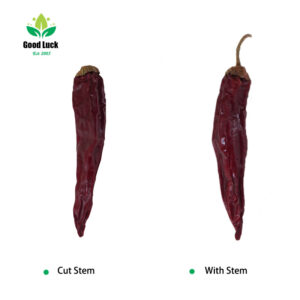 Dry red chili pepper manfacrurer